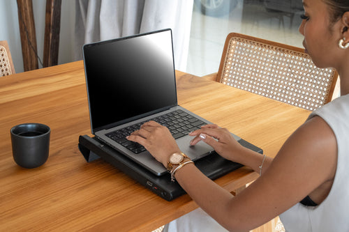Alpha Charge: The 4-In-1 Laptop Sleeve